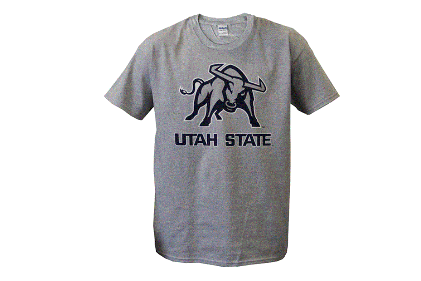 Utah State Mascot T Youth Grey
