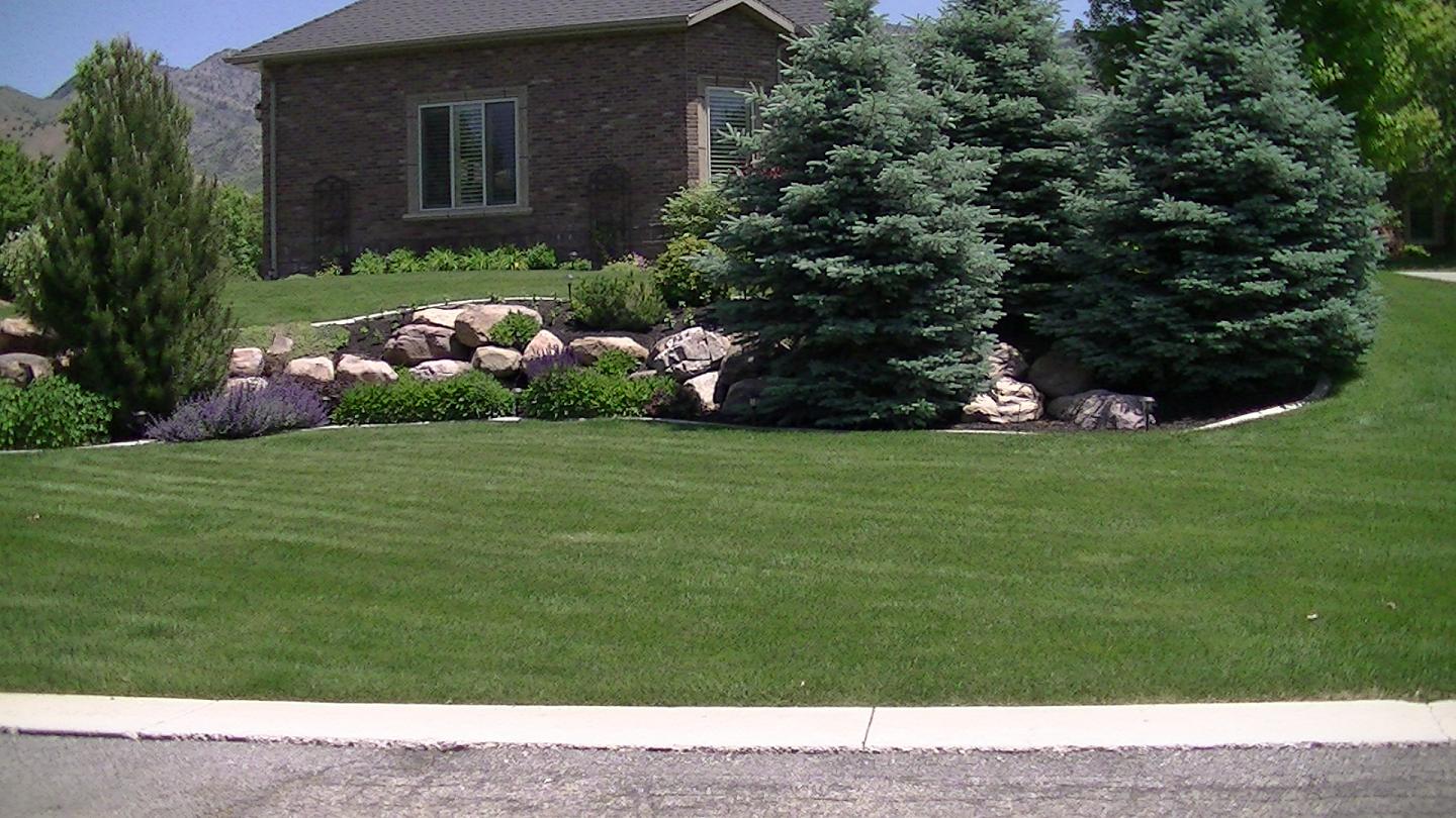Click Here to learn about the benefits of Hydroseeding.